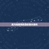 属马和属狗的适合做夫妻吗，属狗和属马的合不合婚姻