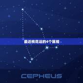 最近桃花运的4个属相，属狗的在什么时候走桃花运