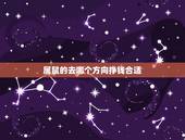 属鼠的去哪个方向挣钱合适，属鼠人2022 年每日旺财方位
