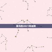 属马在2021年运势，2021年属马男人的全年运势
