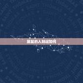 属鼠的人财运如何，鼠人鼠年运程每月运势