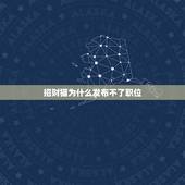 招财猫为什么发布不了职位，招财猫上面发布的正规信息为什么一直不通过？