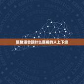 属猪适合跟什么属相的人上下级，属猪与什么属相工作最搭