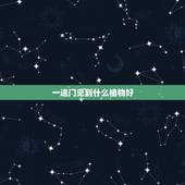 一进门见到什么植物好，大门内正对什么植物好