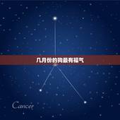 几月份的狗最有福气，属狗每个月出生详解