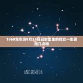 1969年农历9月24日丑时出生的鸡女一生要结几次婚，1981年农历9