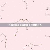 二婚夫妻老是因为孩子吵架怎么办，我和我老婆都是二婚，经常吵架，我好想和