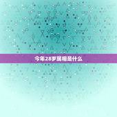 今年28岁属相是什么，今年28岁，是什么属相？