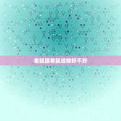 老鼠跟老鼠结婚好不好，属鼠的跟属鼠结婚好吗