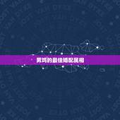 男鸡的最佳婚配属相，属鸡的男人配什么属相好