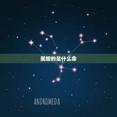 属蛇的是什么命，2013年属蛇的是什么命