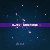 鼠人生个什么属相的宝宝好，父母都属鼠生什么属相的孩子好