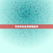 羊和羊的生肖婚姻配吗，羊和羊什么配