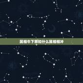 属相牛下葬和什么属相相冲，属牛和什么属相相克