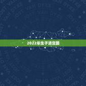 2022年生子清宫图，2022年生男生女预测表