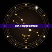 属马人的更佳婚配属相，属兔和属马的婚配怎么样