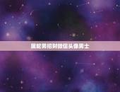 属蛇男招财微信头像男士，77年属蛇女转运招财头像
