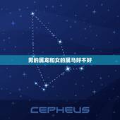 男的属龙和女的属马好不好，属龙和属马的合不合