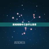 属相婚配中三会什么意思，属相婚配