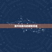 属牛和属马的婚配好差，属牛和属马的能婚配吗
