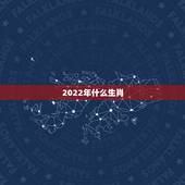 2022年什么生肖，2022年十二生肖运势