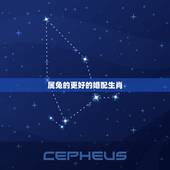 属兔的更好的婚配生肖，属虎的人和什么属相最配