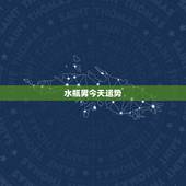 水瓶男今天运势，水瓶座2011年运势