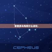 家里养乌龟有什么讲究，为什么有人说在家里养一只乌龟不好 有什么说法