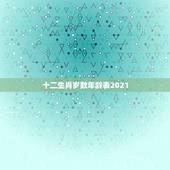 十二生肖岁数年龄表2021，属鼠2021年多大