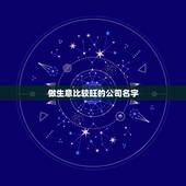 做生意比较旺的公司名字，做生意比较旺的店铺名有哪些？