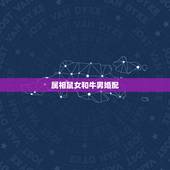 属相鼠女和牛男婚配，属鼠女和属牛男