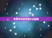 辛丑年戊戌月是什么时候，万年历日历黄历
