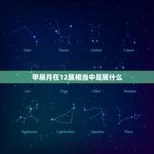 甲辰月在12属相当中是属什么，中国十二生肖到底都是根据什么传承下来的呢