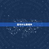 鼠与什么属相冲，老鼠和什么相冲相克