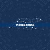 1985年属牛的财运，1985年生人2022 年运程