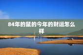 84年的鼠的今年的财运怎么样？属鼠的人84年。今年财运怎么样。201