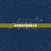 怎样查自己星座第七宫，怎样查自己的星座