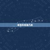 辛丑牛年是几年，辛丑年是什么意思