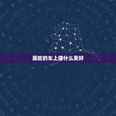 属蛇的车上摆什么更好，属蛇车上放什么摆件