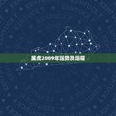 属虎2009年运势及运程，属虎2009年运势如何？