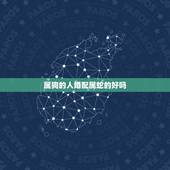 属狗的人婚配属蛇的好吗，属狗的人和属蛇的人相配吗