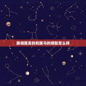 属相属龙的和属马的婚配怎么样，请问属马女和属龙男婚姻合适吗
