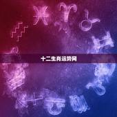 十二生肖运势网，2007年12生肖运势