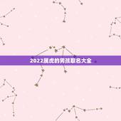 2022属虎的男孩取名大全，周姓好听稀少的男孩名字