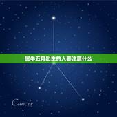 属牛五月出生的人要注意什么，属牛5月出生的好不好