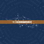 十二生肖婚姻最佳配对，十二生肖婚姻配对大全？