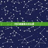 1991年属羊人什么命，1991属羊一生大劫年