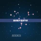 属虎是不是命不好，十羊九不全是什么意思