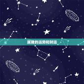 属猪的运势和财运，猪2022 财运