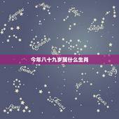 今年八十九岁属什么生肖，四十九岁属什么生肖